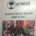 Profile picture of Asociacion Forestal Indigena Madre de Dios - AFIMAD