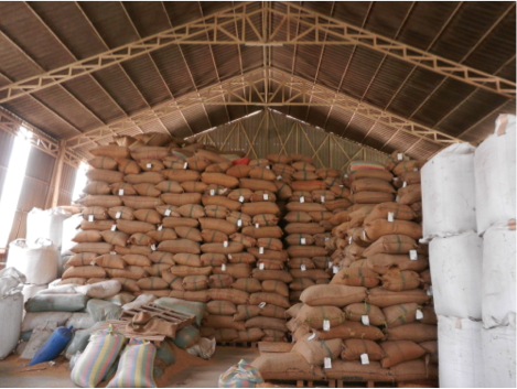 Hulled Ibis Rice in a Phnom Penh mill. Every sack of unmilled rice contains a label indicating the village where it was produced and the name of the farmer who harvested it.