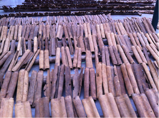 Cassia cinnamon bark drying in Lao Cai (photo credit: SNV VN)