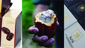 Cacao, indigenous producers of the Amazon and more