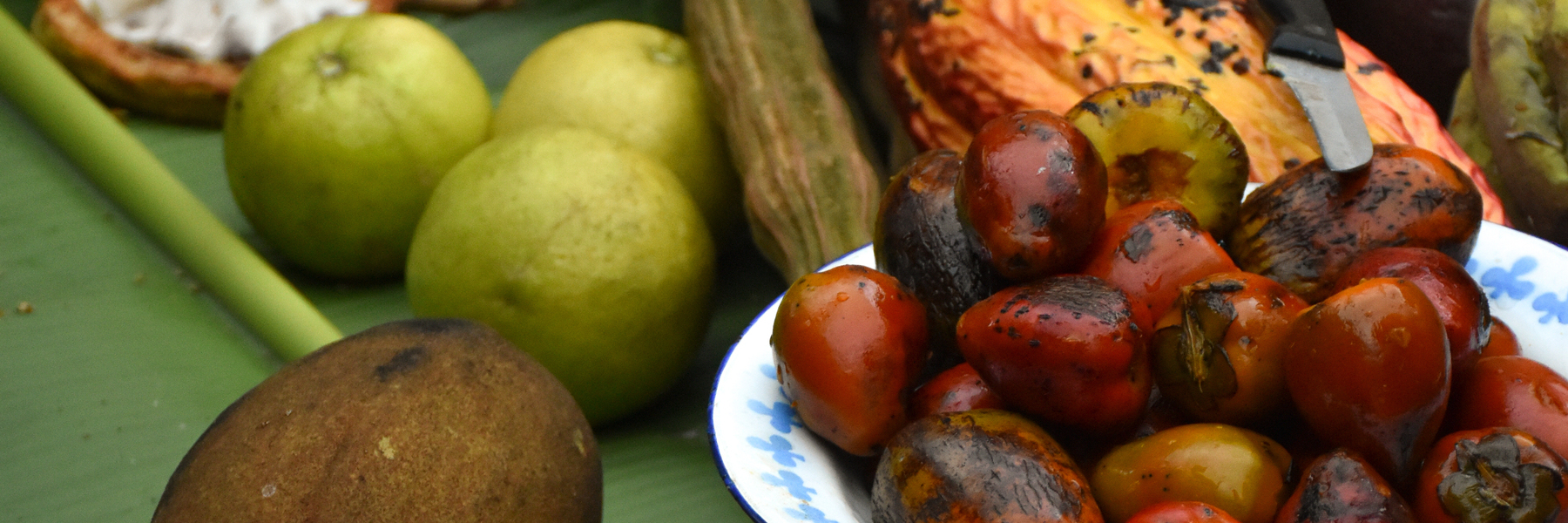 Chonta and other Amazon rainforest fruits
