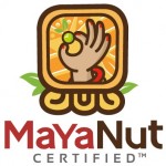 Profile picture of Maya Nut Institute