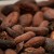 Profile picture of Cooperativa Agraria  de cacaoteros Campos Verdes