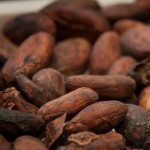 Profile picture of Cooperativa Agraria Central de Cacao Aroma de Tocache