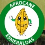 Profile picture of Asociación de Productores de Cacao de la Zona Norte de Esmeraldas (Aprocane)