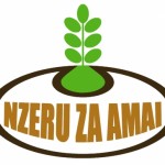 Profile picture of Kuwangisana   Nzeru Za Amai