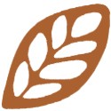 Profile picture of The Organic Herb Trading Company