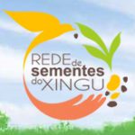 Profile picture of Rede de Sementes do Xingu (RSX)