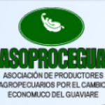 Profile picture of Asociación de Productores Agropecuarios por el Cambio Económico del Guaviare (Asoprocegua)