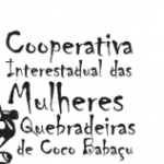 Profile picture of Interstate Cooperative of Women Babassu Nut Breakers-CIMQCB